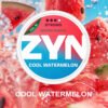 ZYN Cool Watermelon 11MG